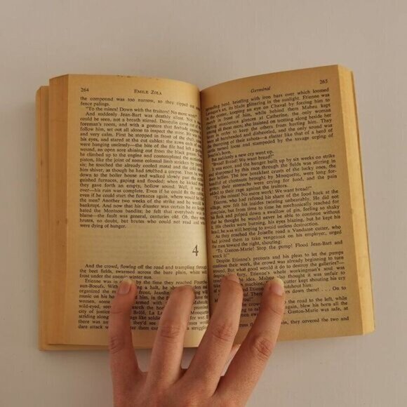 1970 Germinal by Emile Zola - Classic Literary Fiction Novel English Transl. - Picture 7 of 7